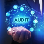  API GMP audit reports 